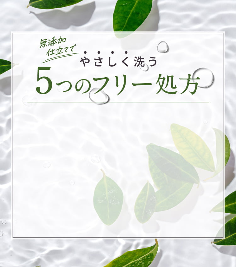 無添加仕立てでやさしく洗う6つのフリー処方